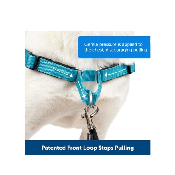 NEW - PetSafe Deluxe Easy Walk Nylon Reflective No Pull Dog Harness - Picture 5 of 9